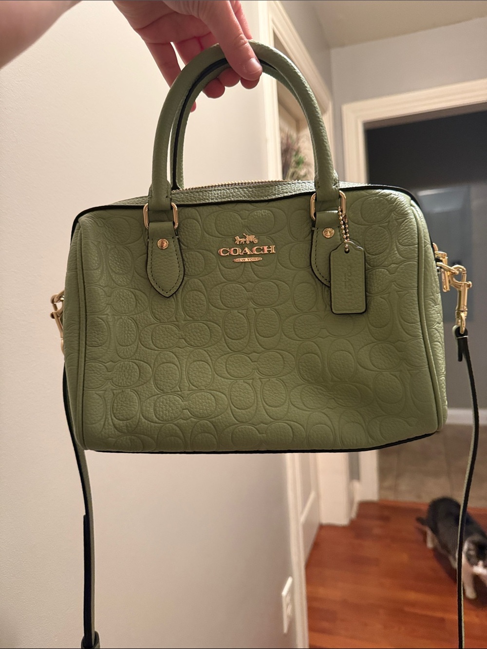 COACH Olive Green Embossed Signature Rowan